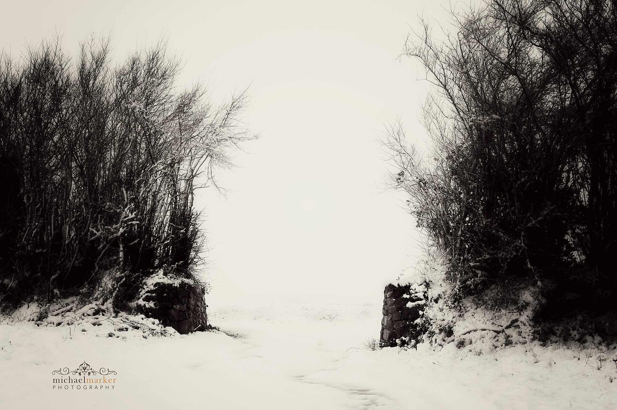 Snowy rural gateway in rural Devon, Devon snow photographs